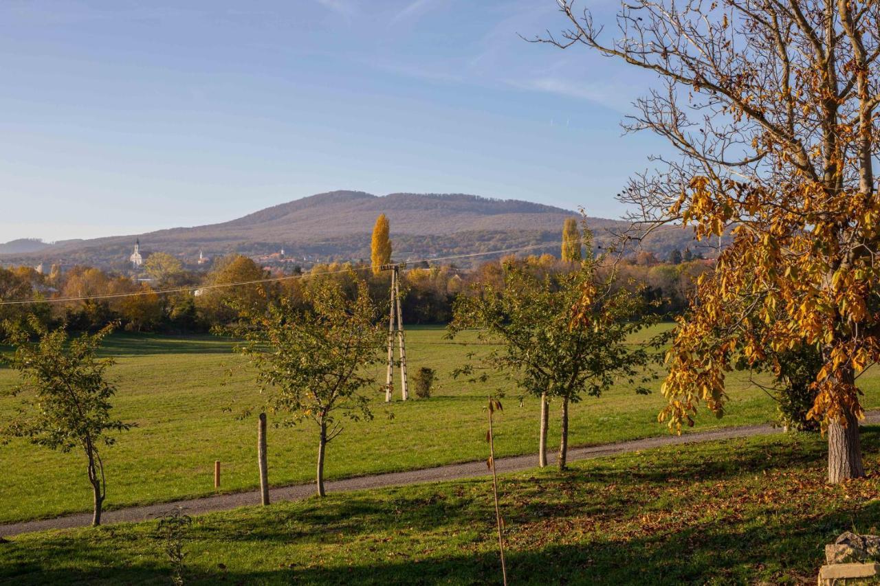 Kishosszúrét Vendégház Pécsvárad Exterior foto