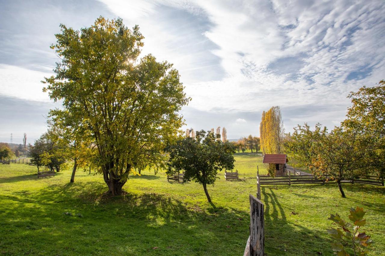 Kishosszúrét Vendégház Pécsvárad Exterior foto