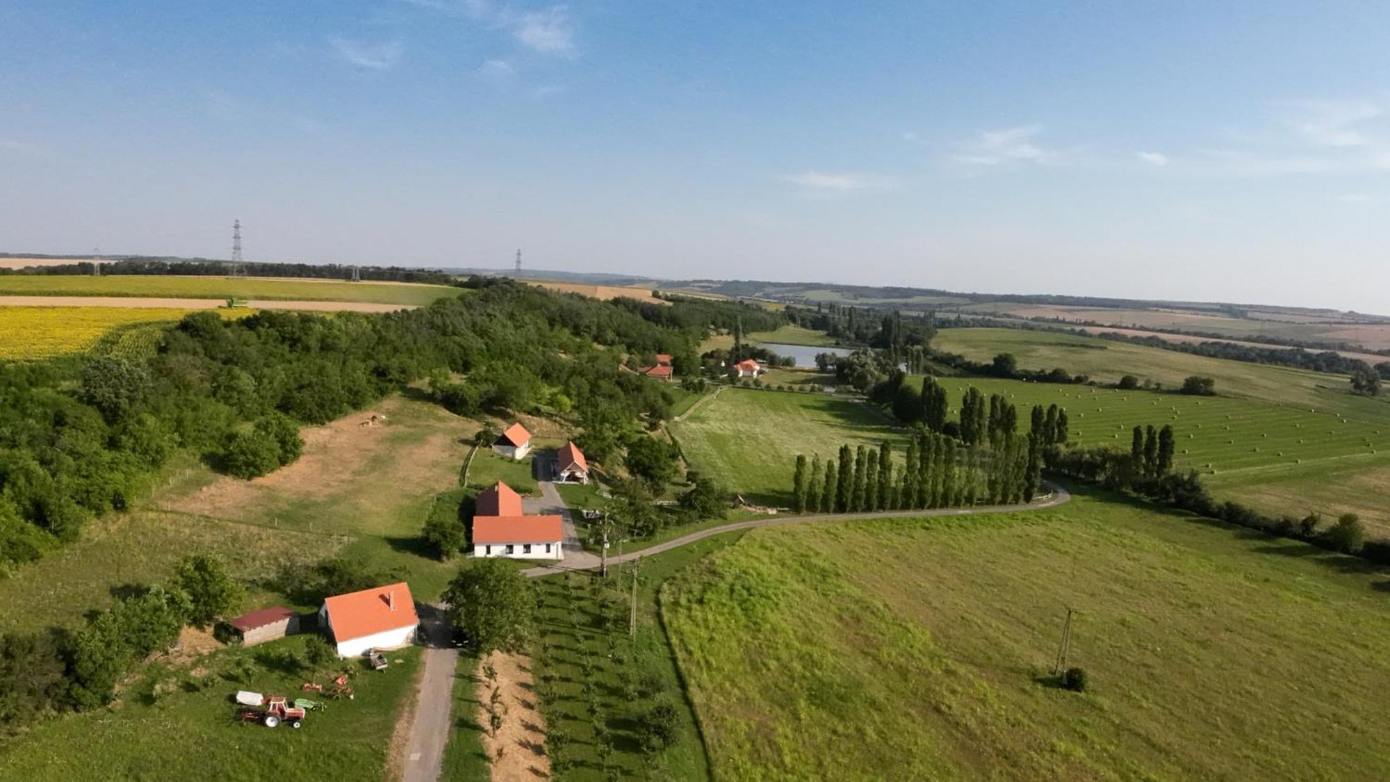 Kishosszúrét Vendégház Pécsvárad Exterior foto